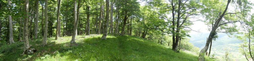 Ilarratza tontorra mendebaldetik