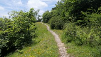 El Sombrerete aldera gerturatzen