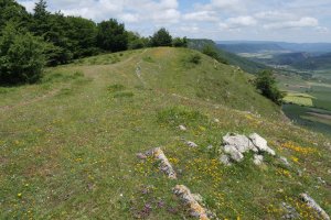 El Sombrerete tontorra