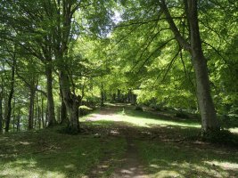 Txanditik Santa Teodosia aldera jaisten