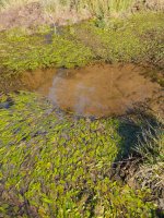 Usabelartzako errekastoa