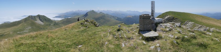 Otsogorrigaina tontorra