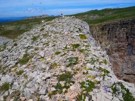 Sayéstico tontorra ekialdetik