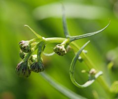 Bideak, arekak, etzeak eta lurra eraldatuta dagoen beste leku batzuk