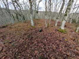 Mendiguren 1 eta atzekaldean Mendiguren 2