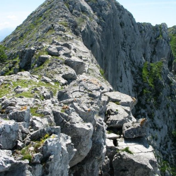 Tontorra Mko gandorretik