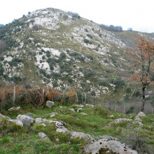 Ekialdeko isurialdea