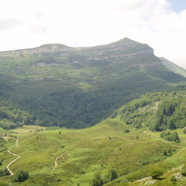 Iparrekialdetik ikusita