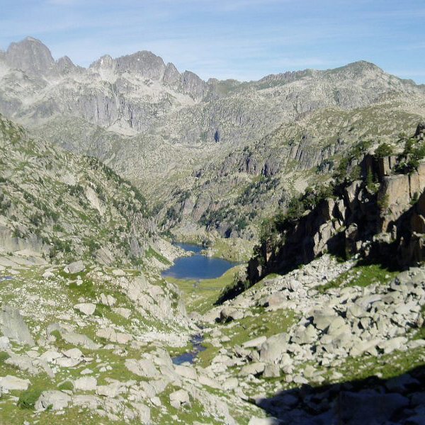 Colieto bailaratik ikusita