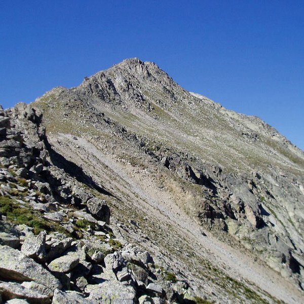 Tontorra Dellui lepotik ikusita