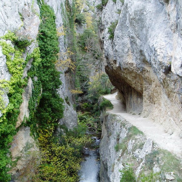 Puron errekaren arroila