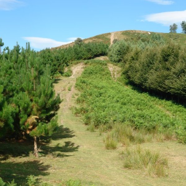 Azken metroak ekialdetik
