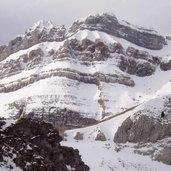 Ipar-ekialdetik ikusita