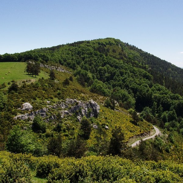 Ezpondarri (Erremendia)