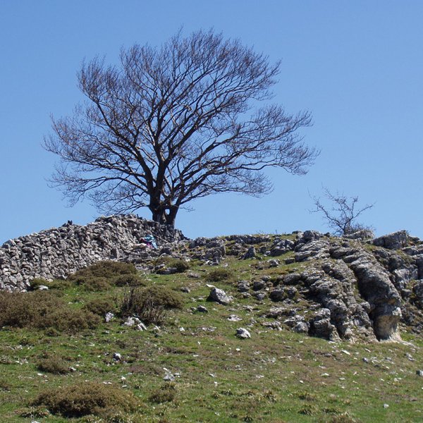 Bardoitzako (Eraul) gailurra (1110m)