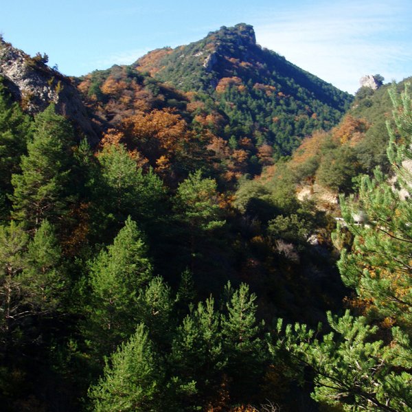 Artasoeta Itzalleko errepidetik