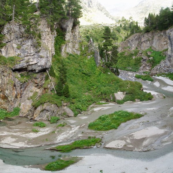 Forau dels Aigualluts