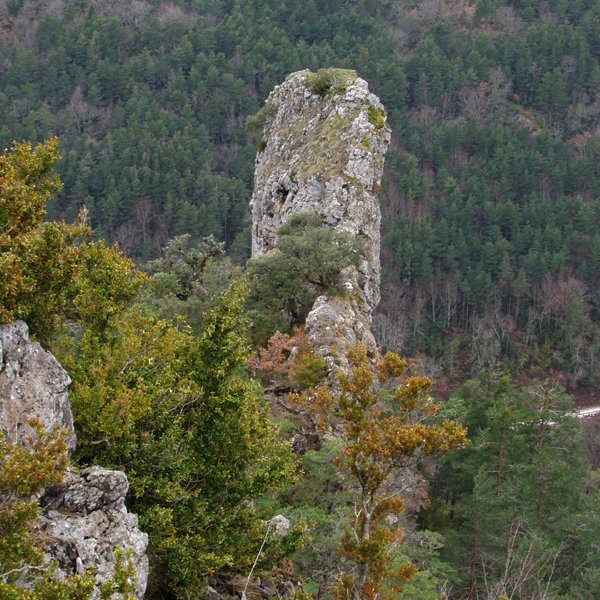 Azkarregiako gendarmea