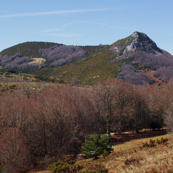 Jaun Done Jakue Coronako hegietatik