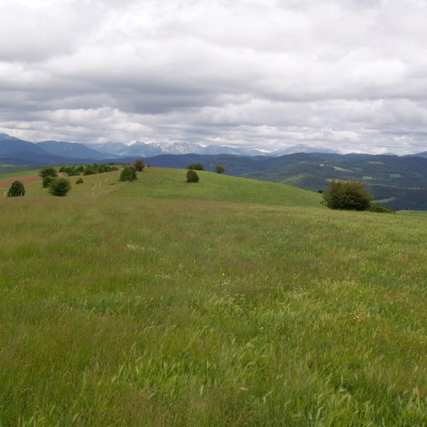 Udiko gailurretiko paisaia zabalak