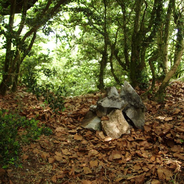 Liraingo gailur itxia