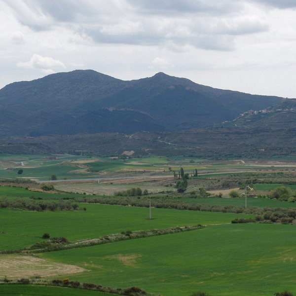 San Pedro ipar-medebaldetik