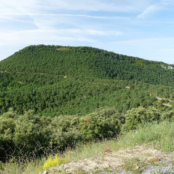 Urdazkain Elutsandiko lepotik