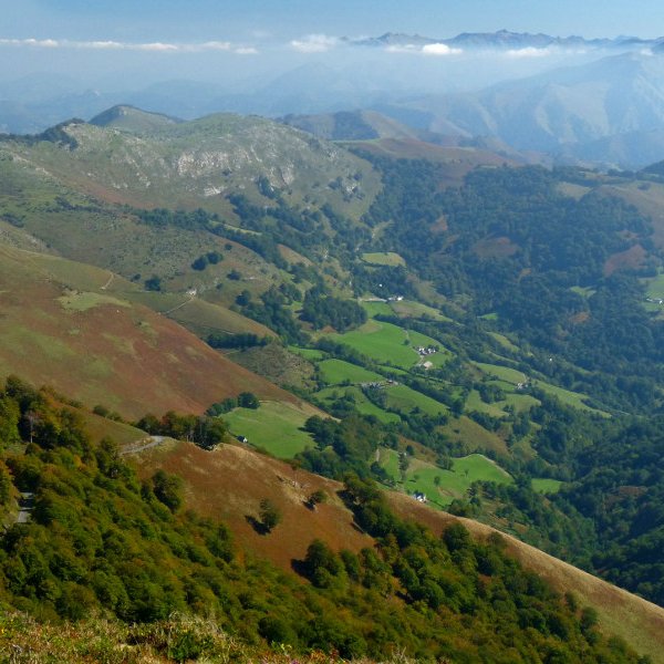 Belozkarre Eskaleramenditik