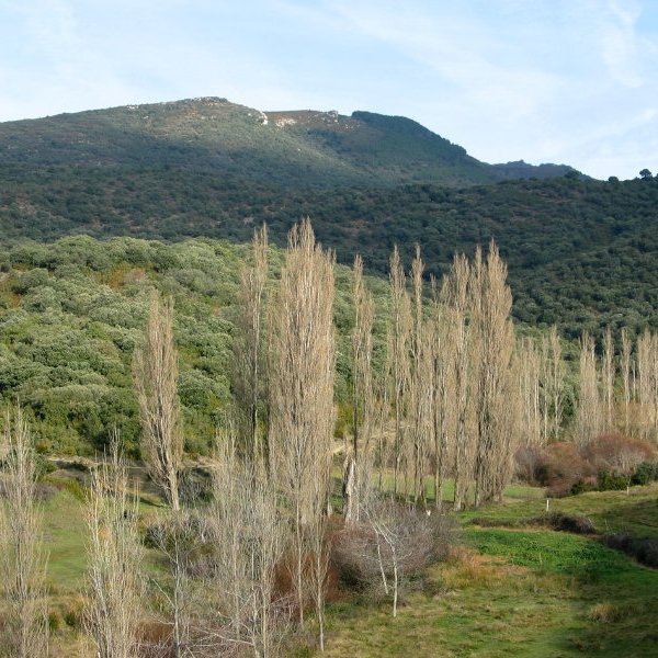 Untzue eta Alaitz arteko bailararen ikuspegia