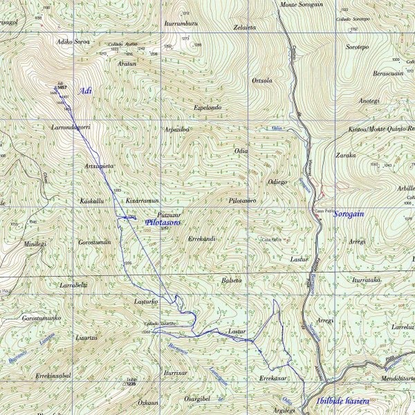 MAPA: Ardi eta Pilotasoro Sorogaindik