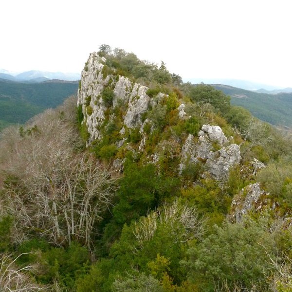 Aginagako Harriko gailurra