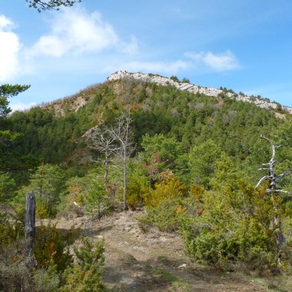 Santa Agata, Biritxituko bidetik