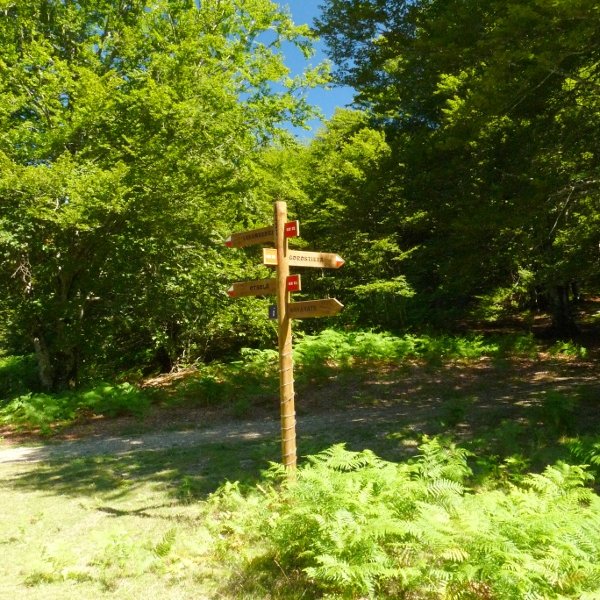 Intsustiko lepoa, Begaña eta Irumugarrieta artean