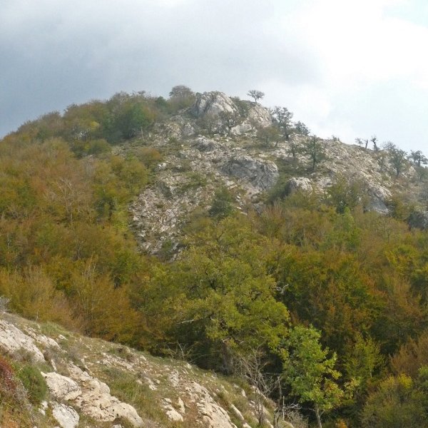 Saldisgaingo malkarrak