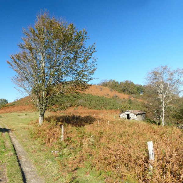 Gaztarotz borda eta kaskoa