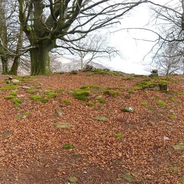 Urruxkako gailurra, 115. mugarriarekin