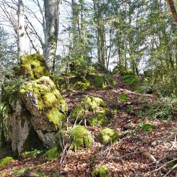 Bordagaineko mendebaldeko gailurra