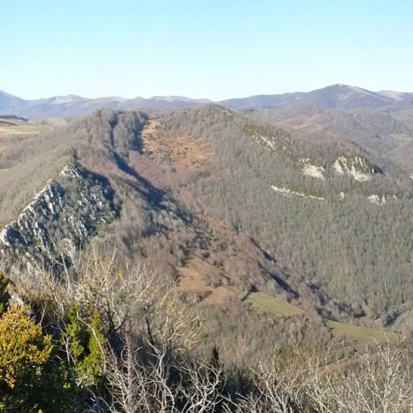 Bultzarregi ekialdetik