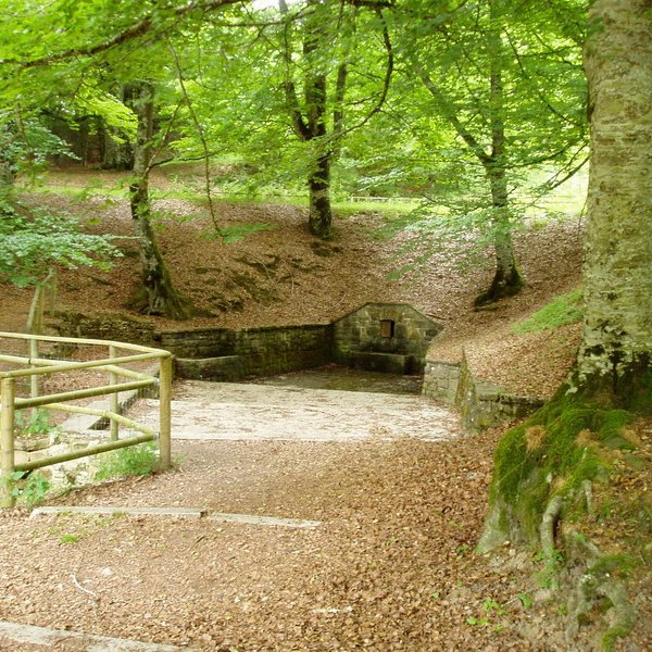 Los Mosquitos iturria