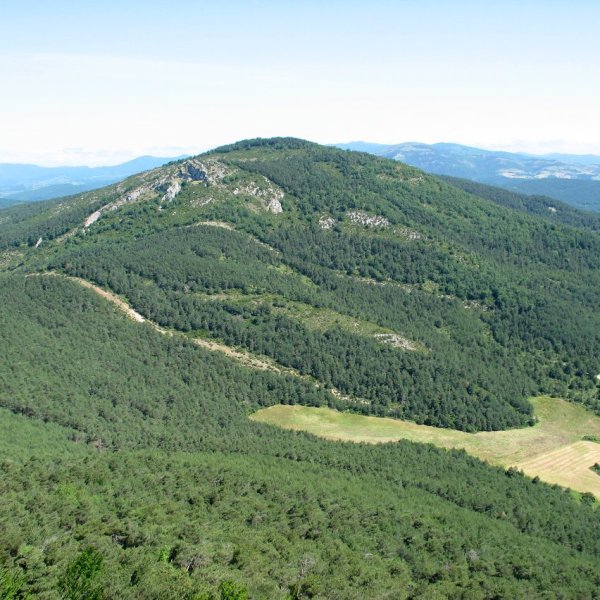 Antxoritz aldetik ikusita