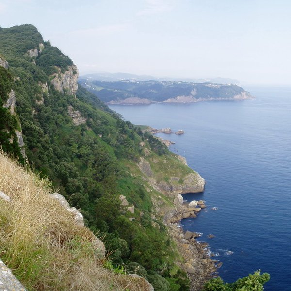 Otoio eta itsasertza talaiatik ikusita