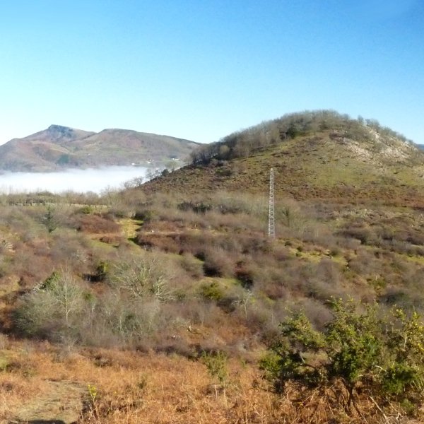 Mokorro Larrugaindik