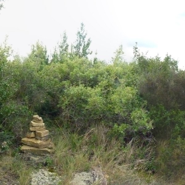 Garnatx gaineko gailurra