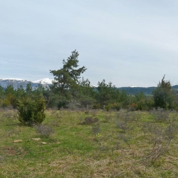 Zalduzkaraiko gailurra