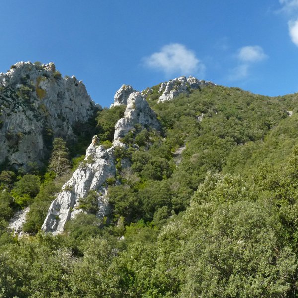 Chandriko malkarrak, Siguesko bidetik