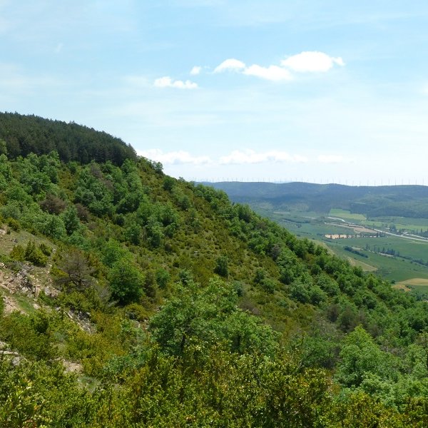 Karramitxa mendebaldeko lepotik