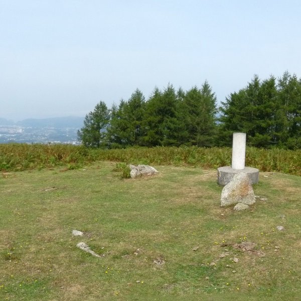 Arritxurietako gailurra