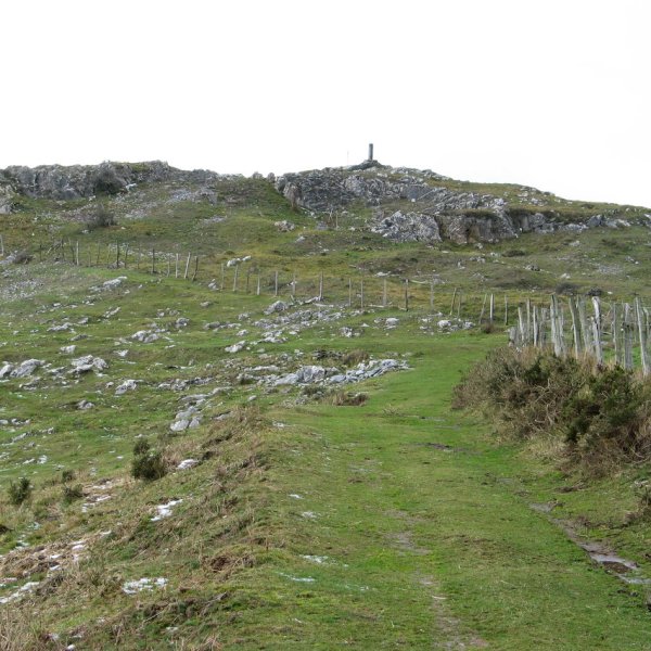 Arauntza tontorra ekialdetik