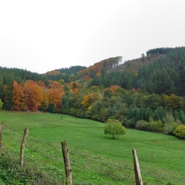 Astotza gaina, Errazkingo bidetik