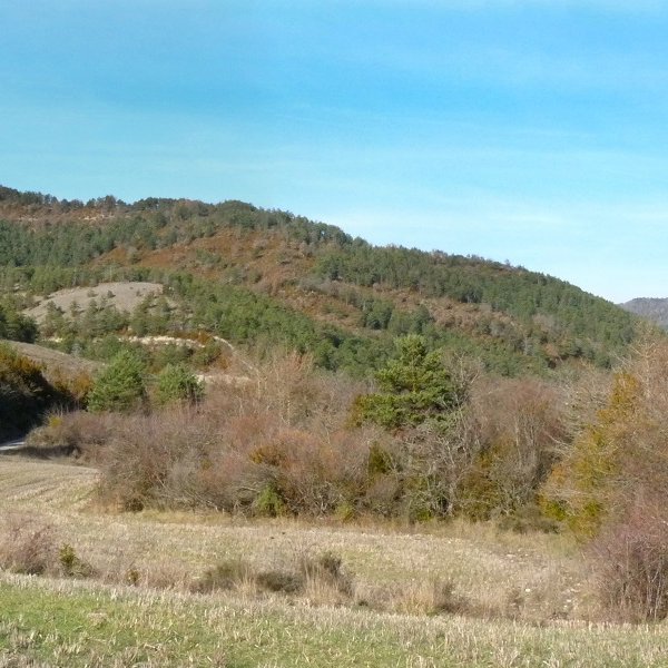 Remonasa Zerrenkanoko ibarretik